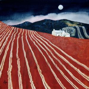 Moonlit Farm with Ploughed Field